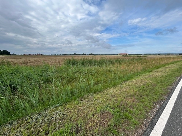 Grünfläche/ Straßenrandbegleitfläche in der Metropolregion Nürnberg **teilweise vertragslose Nutzung**