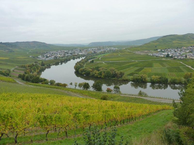 Ufergrundstück an der Moselschleife nordöstlich von Trier