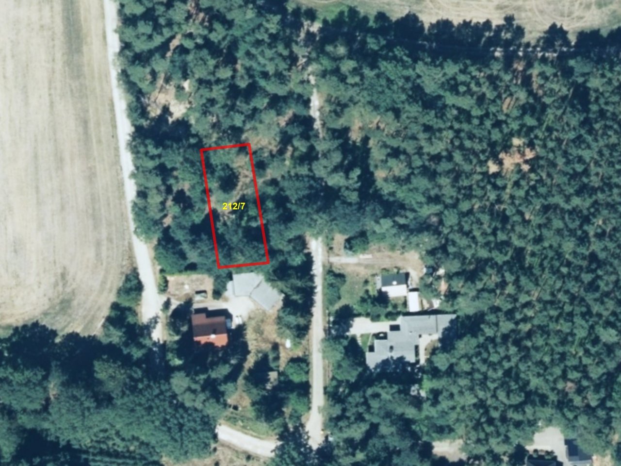 Vertragsfreie Waldfläche bei Bernsdorf