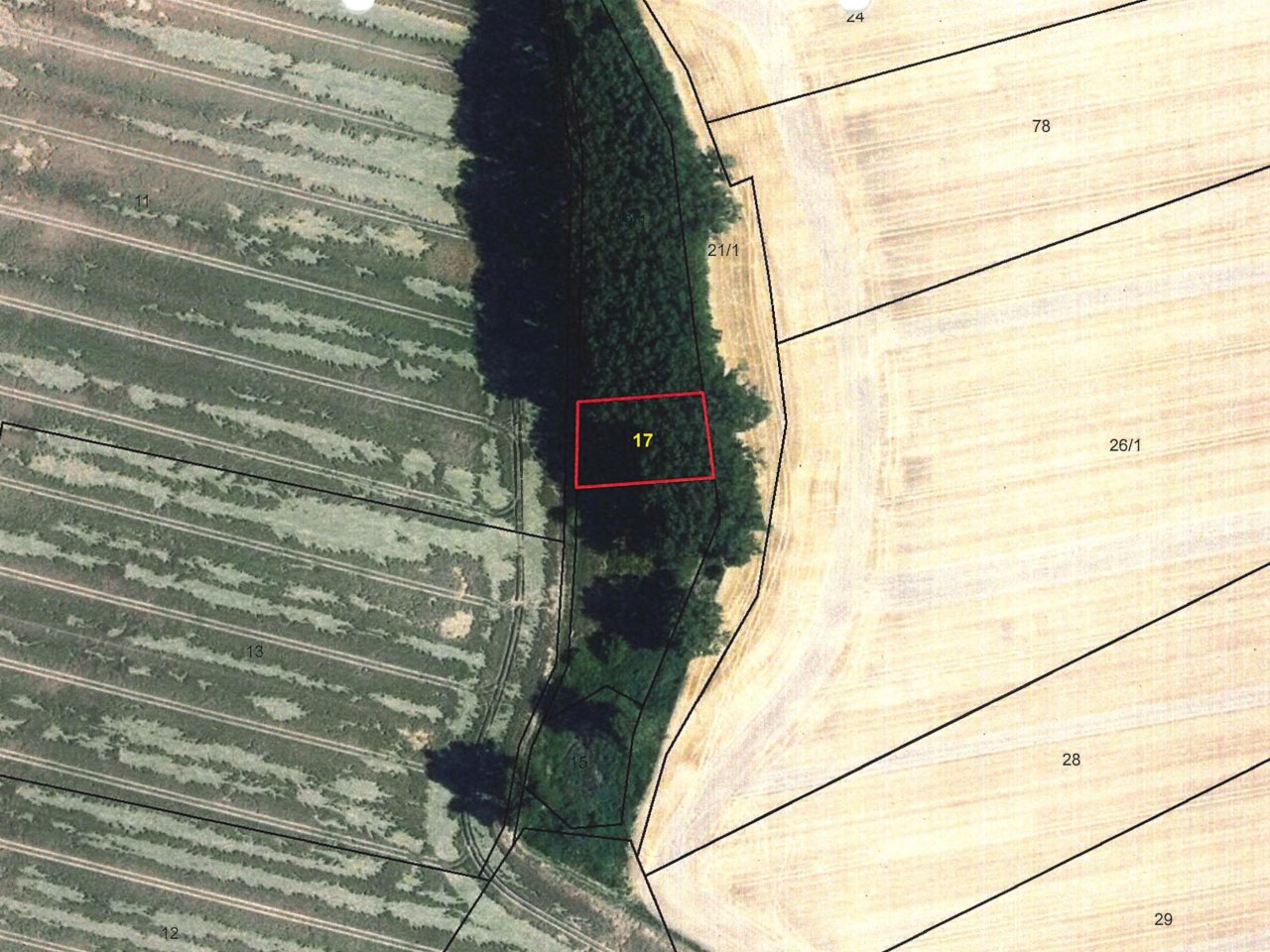 Holzungsfläche westlich von Wachow