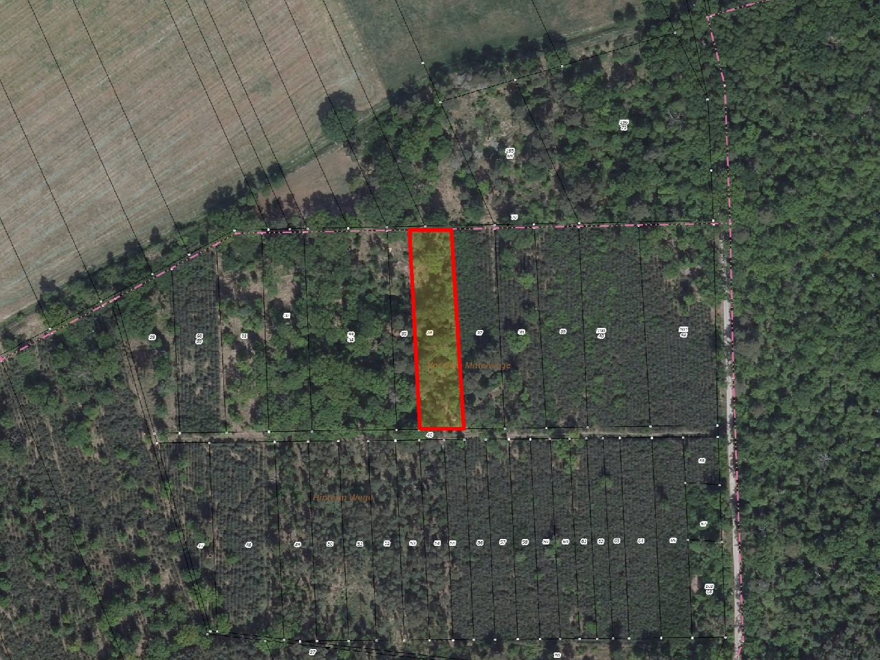 Vertragsfreie Waldfläche und 2 straßenbegleitende Grünstreifen im Landkreis Stendal 