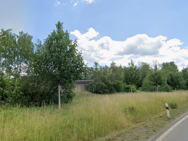 Mit Wildwuchs und Gehölzen bewachsene Grünfläche angrenzend an ein Gewerbegebiet östlich von Zwickau