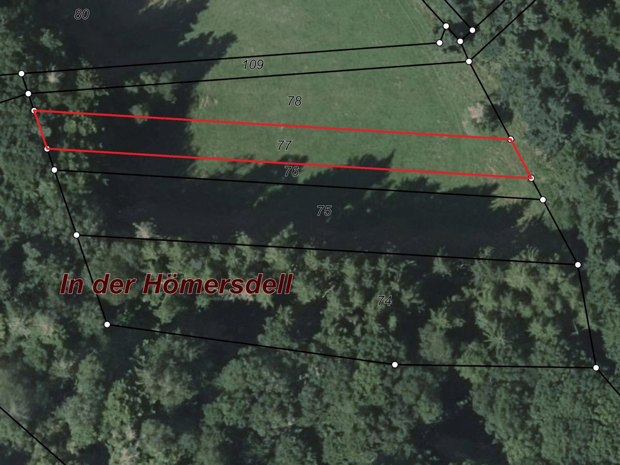 Grünlandfläche teilweise mit Gehölzbewuchs östlich von Idar-Oberstein