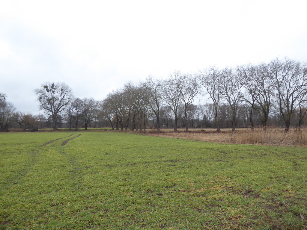 Landwirtschaftsflächen in unmittelbarer Nähe zur Bahnlinie