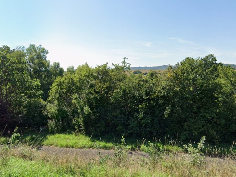 Grünlandfläche mit Gehölzbewuchs in Winnweiler