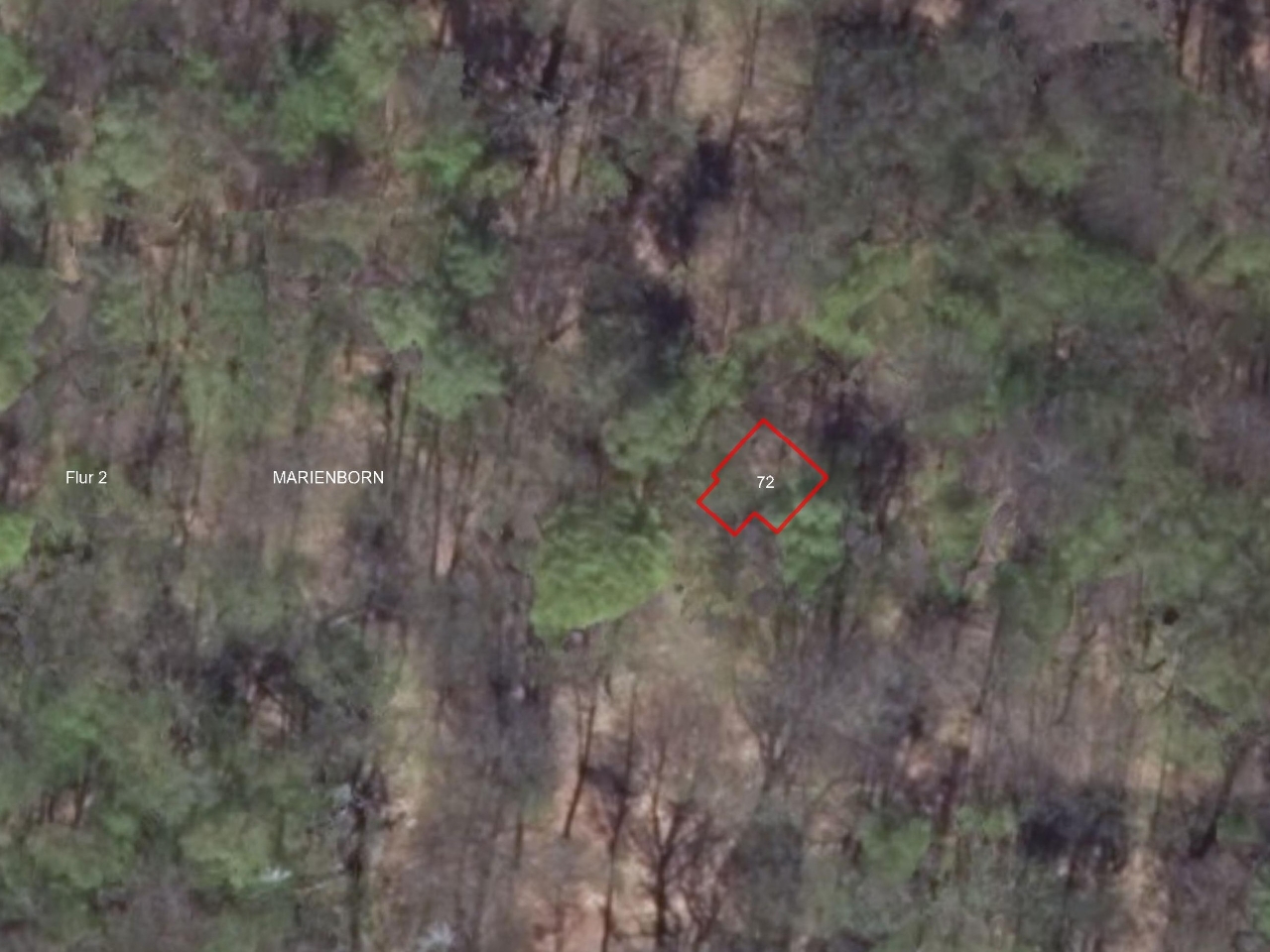 Vertragsfreie, kleine Waldfläche nahe der Räuberhauptmannshöhle **zwischen Braunschweig und Magdeburg**