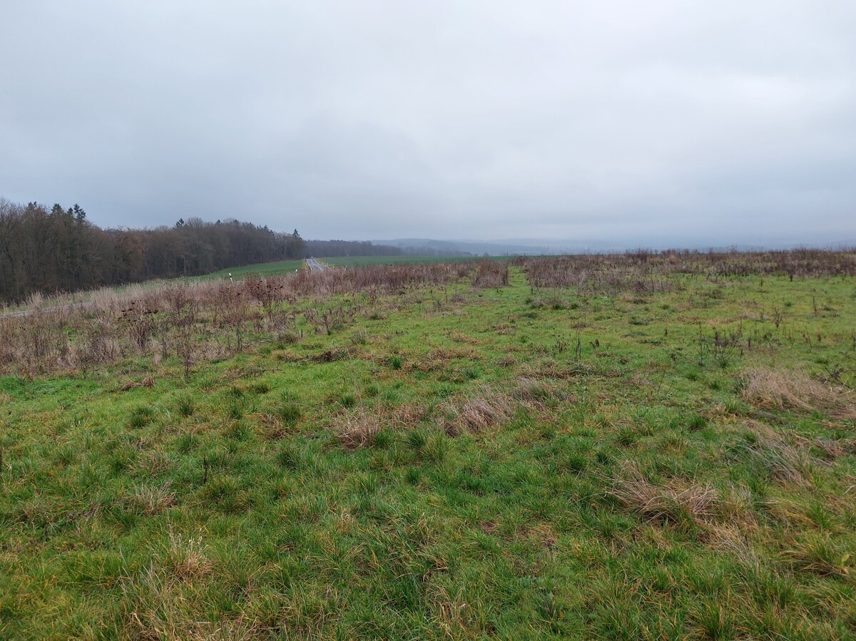Landwirtschaftsfläche im Stadtteil Schadeck zwischen Westerwald und Taunus