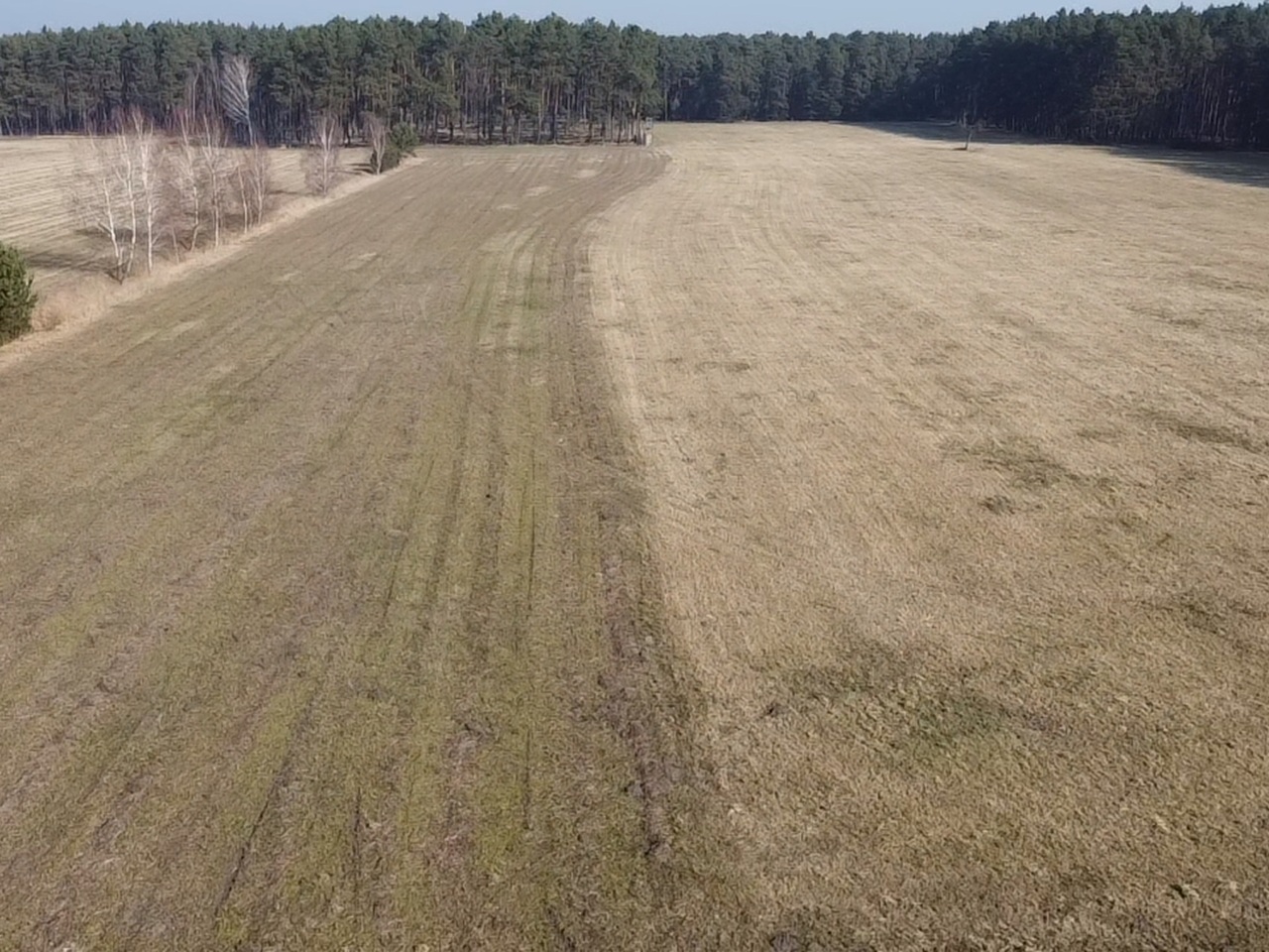 Landwirtschaftsfläche **überwiegend verpachtet** in Märkisch Buchholz - dem Tor zum Spreewald