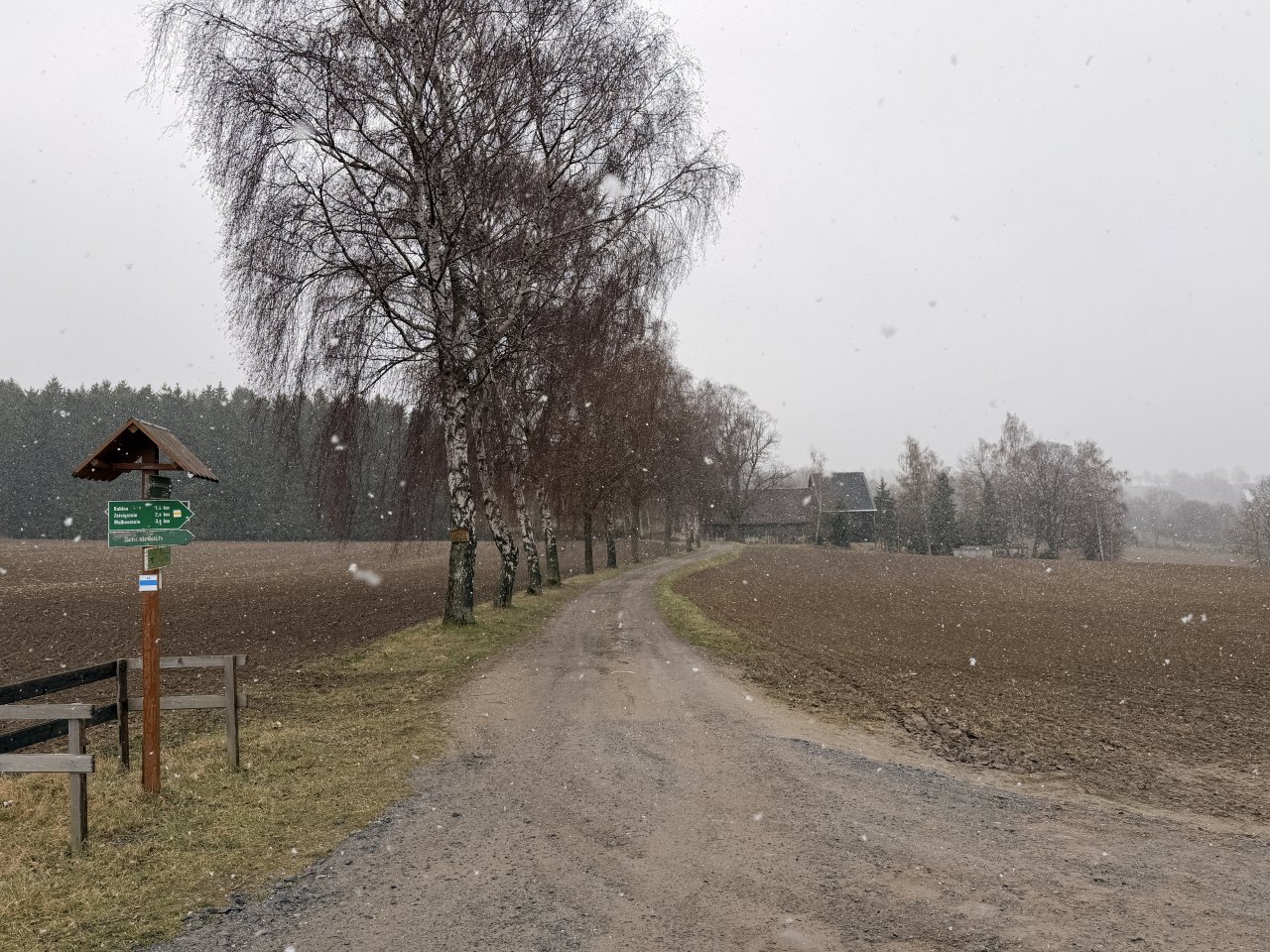 Vertragslos genutzte Landwirtschaftsflächen mit einer insgesamten Grundstücksgröße von 9.980 m²