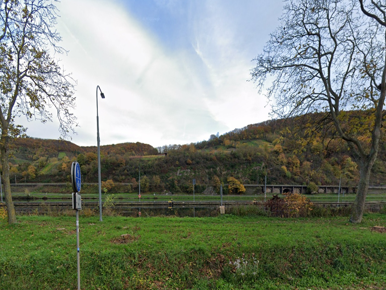 Waldfläche oberhalb der Mosel angrenzend an einen Weinberg