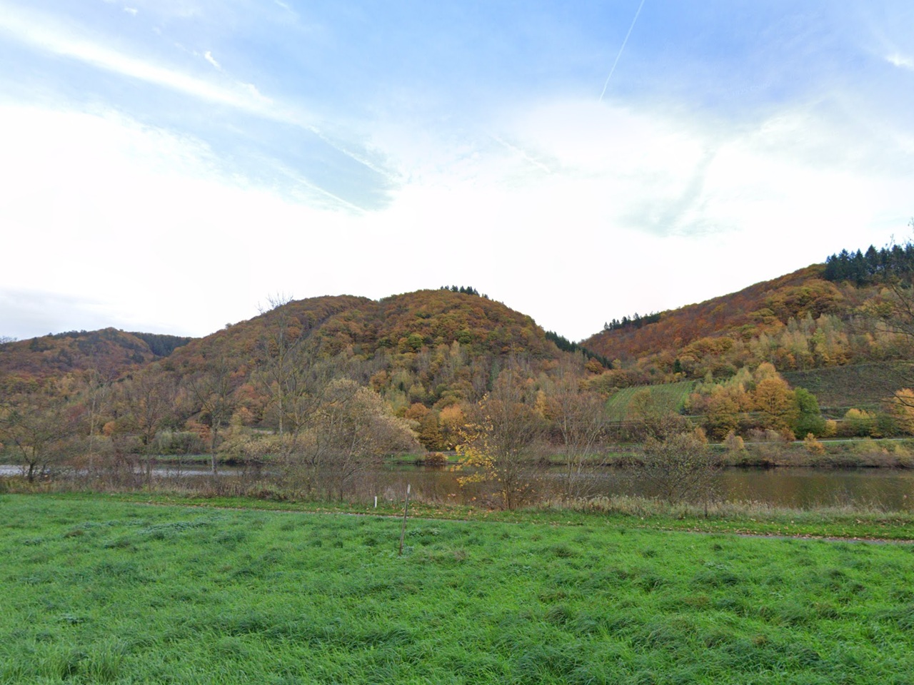 Waldfläche - ehemaliger Weinberg - mit Blick auf die Mosel in der Weinbaulage ́Graf Beyßel Herrenberg´
